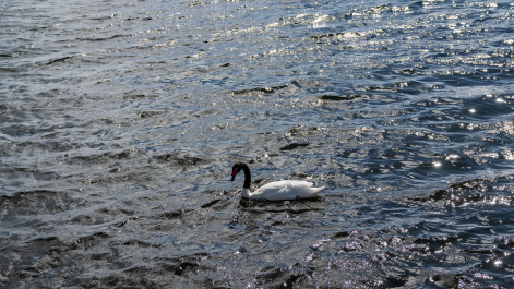 photo 2096142