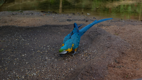photo 2102765