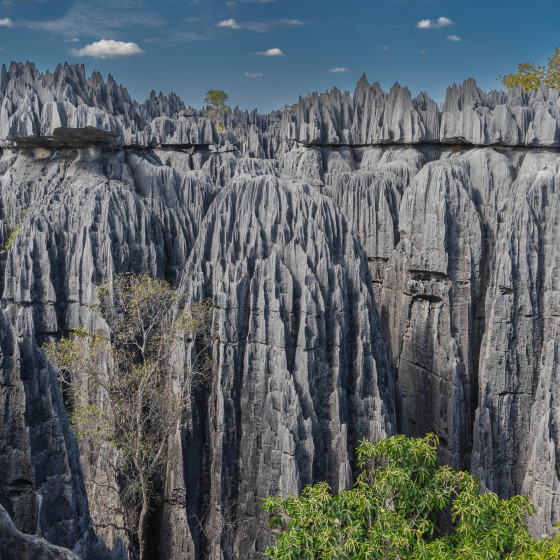 Невероятный Мадагаскар. 