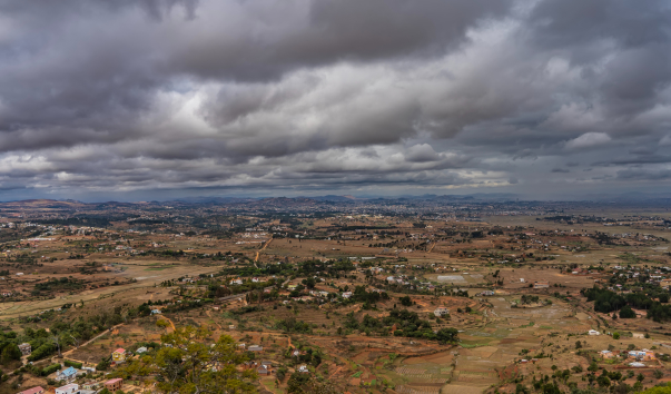 DSC09019