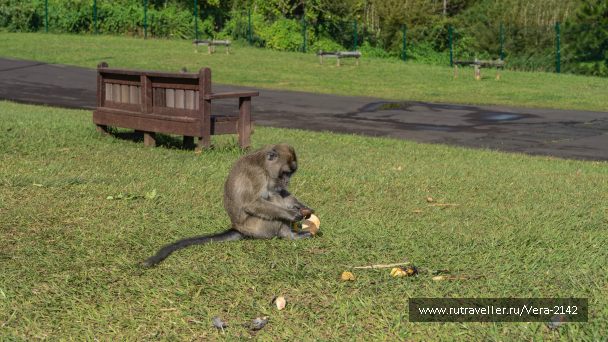 photo 2135794
