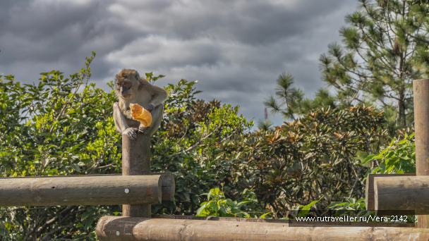 photo 2135864