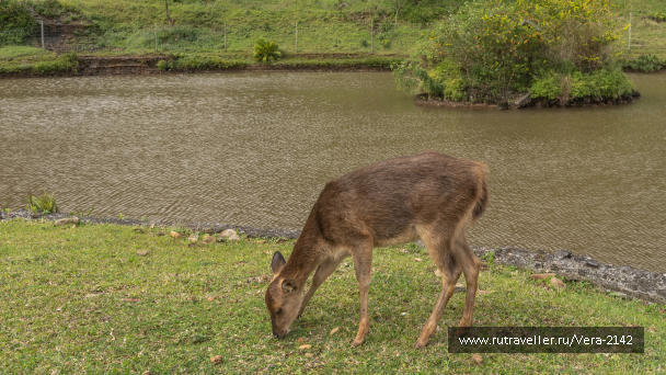 photo 2136630