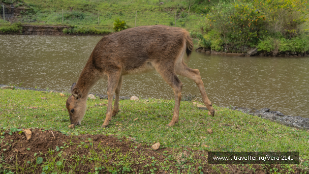 photo 2136842