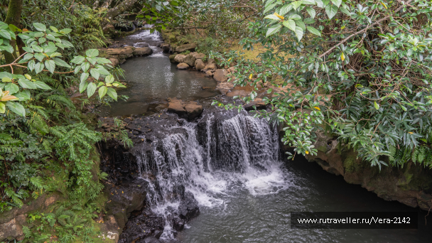 photo 2136934