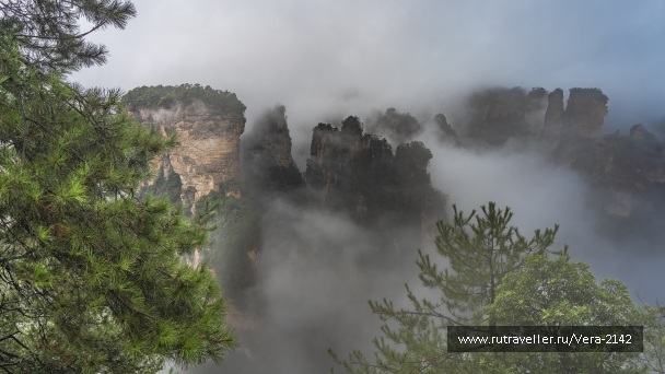 photo 2145421