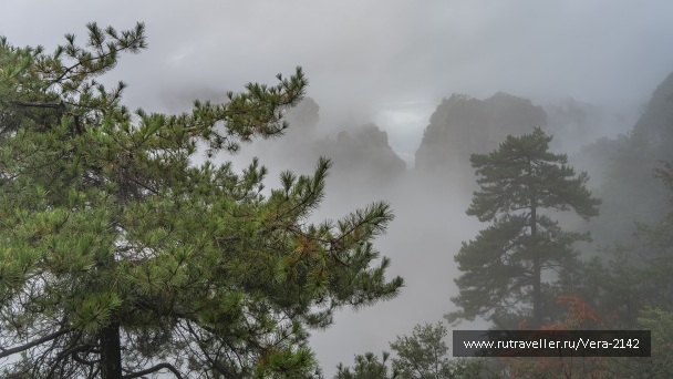 photo 2145517