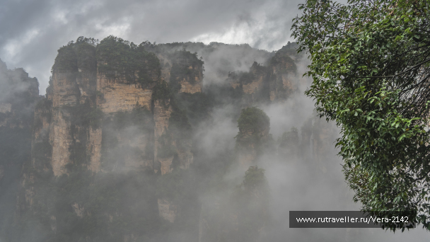 photo 2145933