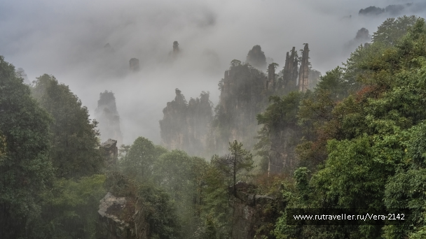 photo 2146129