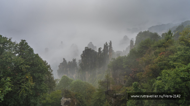 photo 2146240