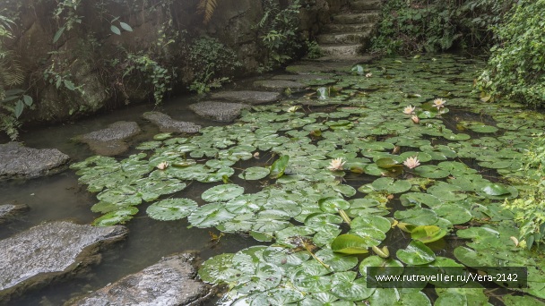 photo 2149160