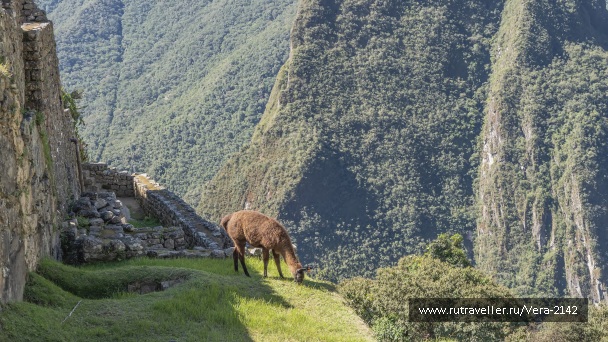 photo 2160464