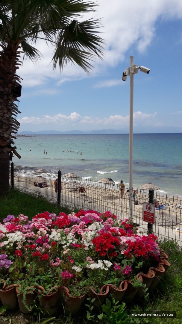 photo 1772916