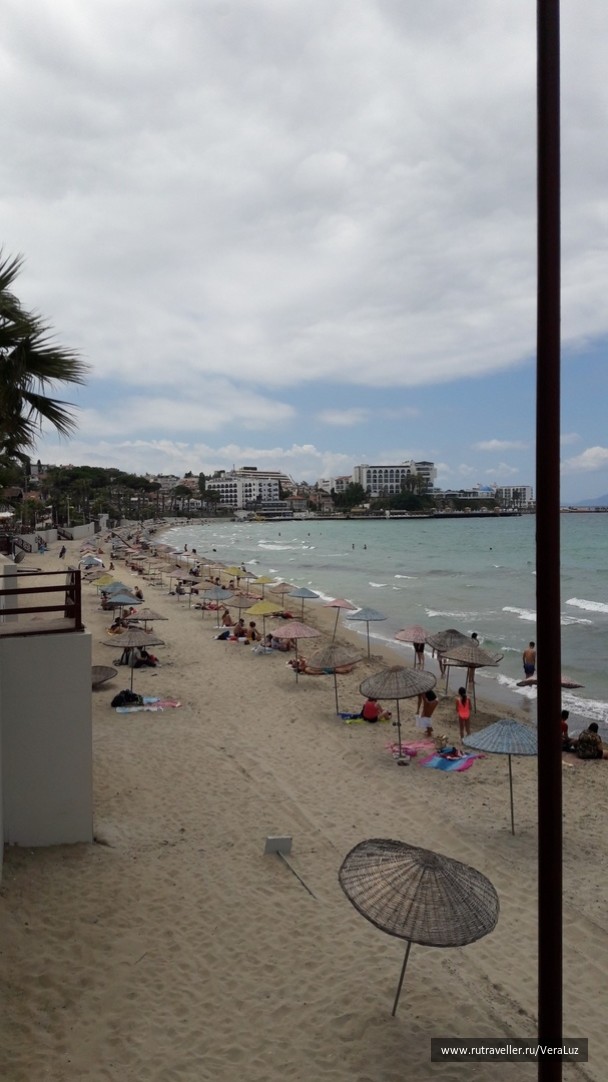 photo 1772917