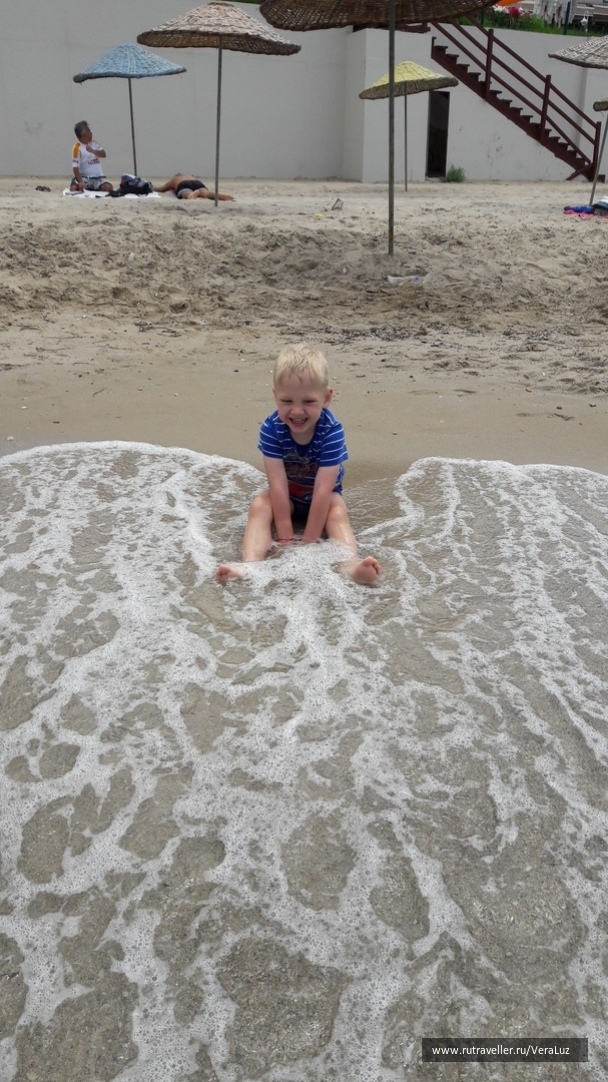 photo 1772918