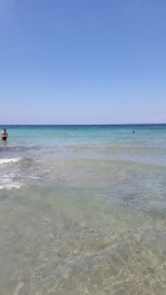 photo 1772923