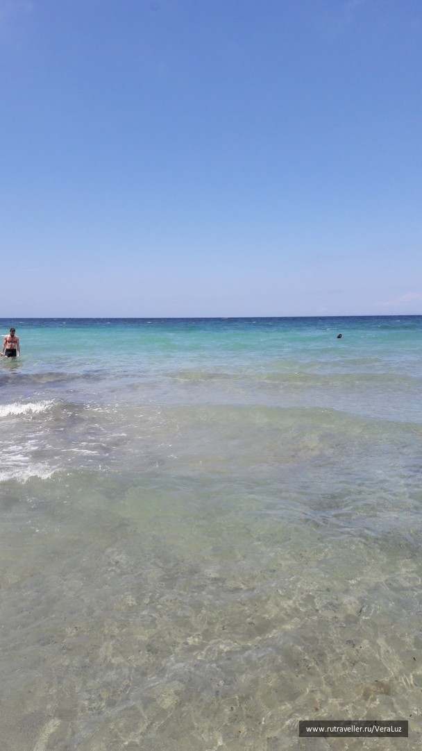 photo 1772923