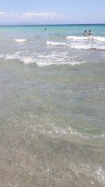 photo 1772924