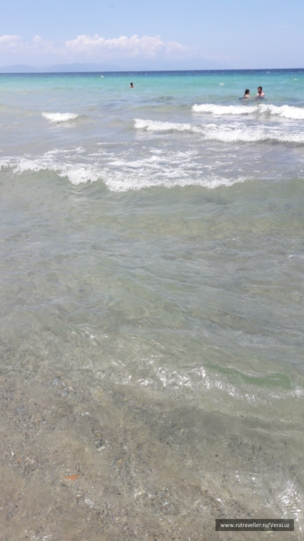 photo 1772924