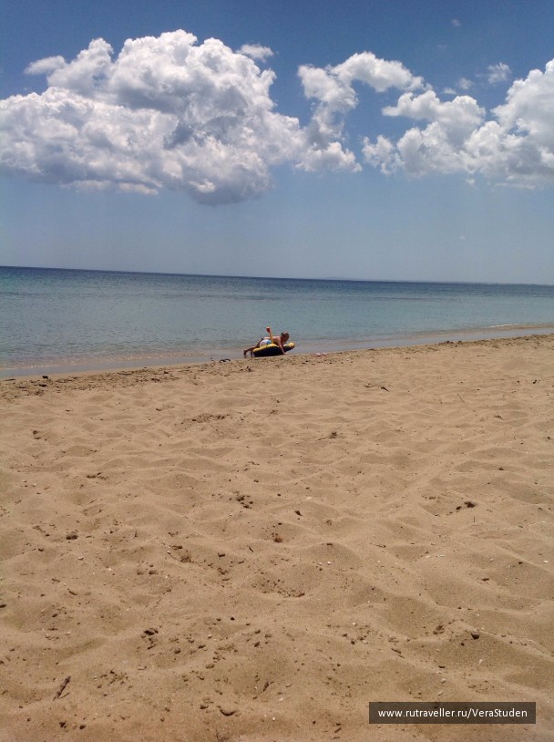 photo 1032380