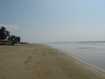 photo 412261