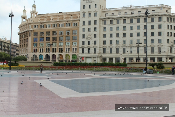photo 938773
