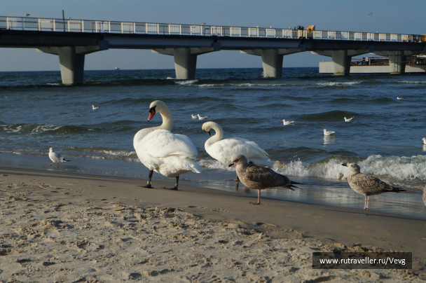 photo 1467027