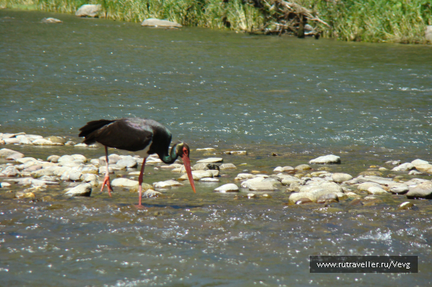 photo 1471899