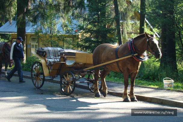 photo 1471923