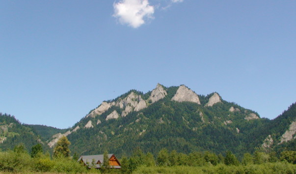 DSC01692