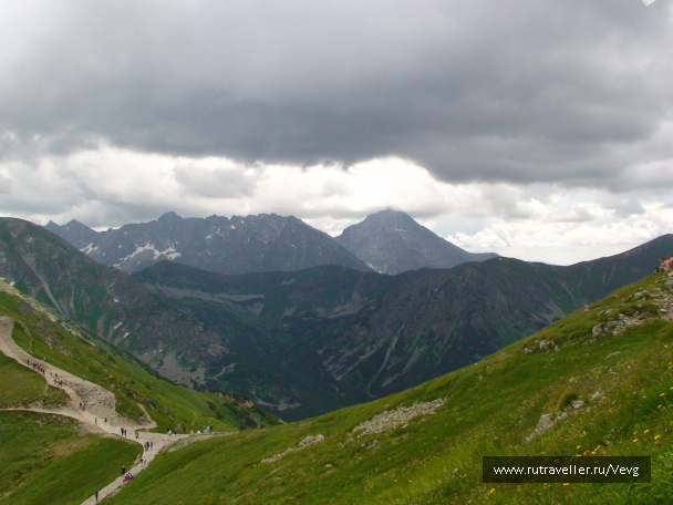 photo 1471929