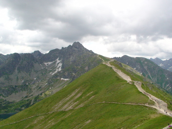 photo 1471930