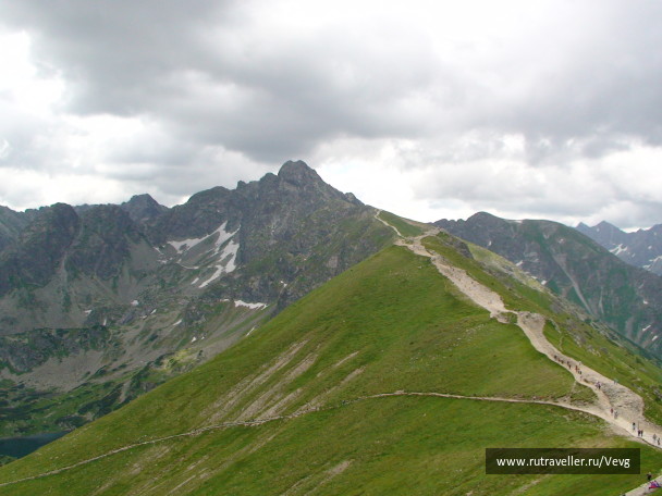 photo 1471930