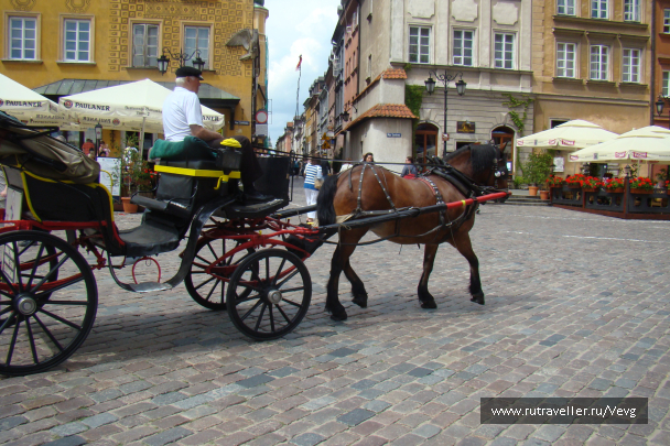 photo 1473772