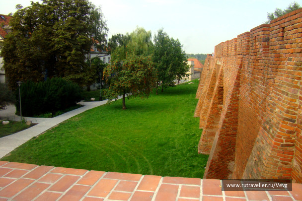 photo 1473830