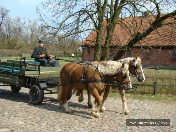 photo 1485599