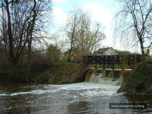 photo 1485609