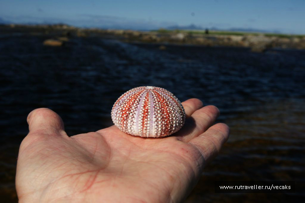 photo 1021531