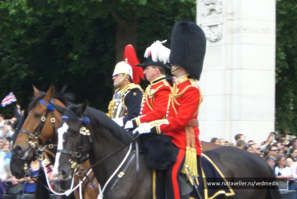 photo 131820