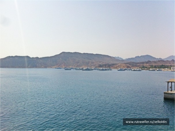 photo 212266
