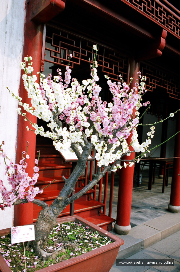 photo 212539