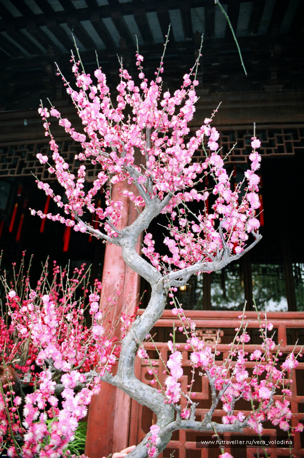 photo 212562