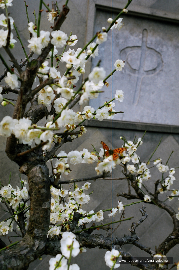 photo 212592