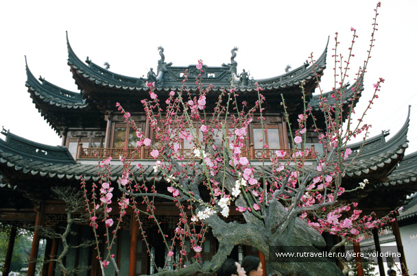 photo 212594