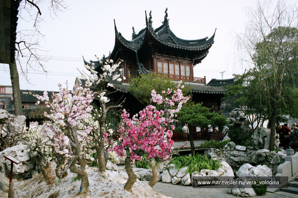 photo 212595
