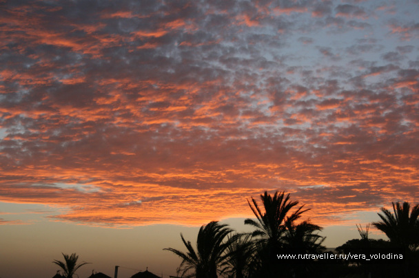 photo 214365