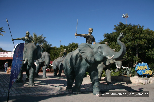 photo 214375