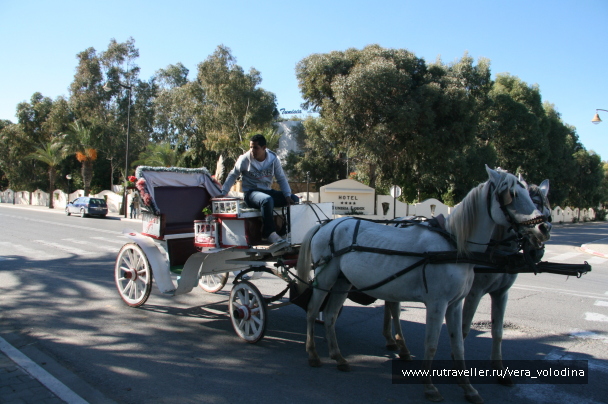 photo 214376