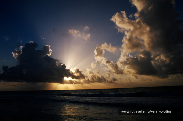 photo 214487