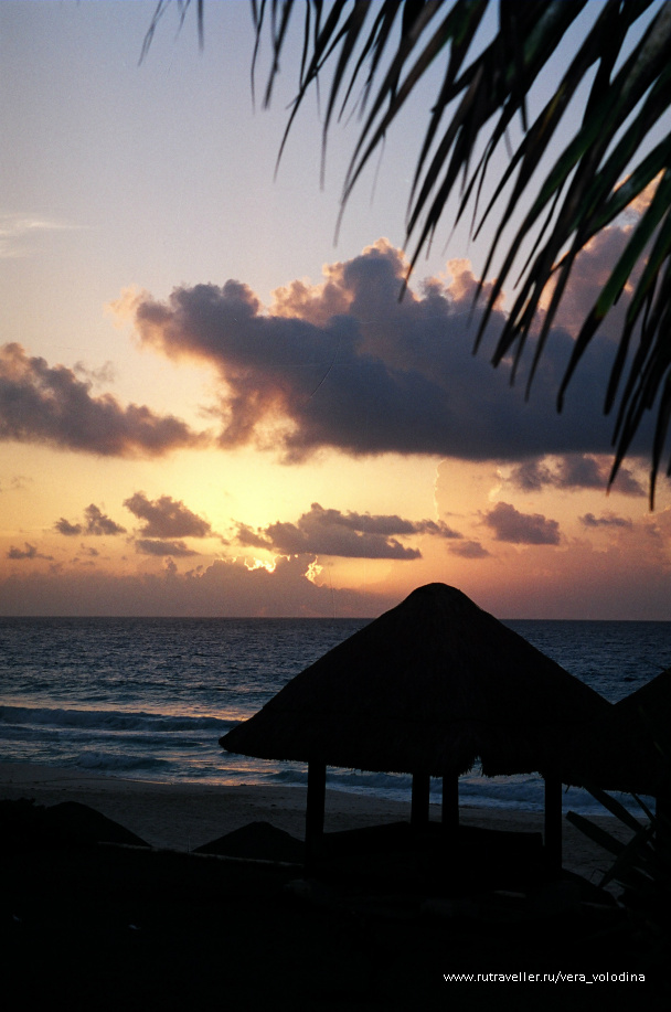 photo 214493